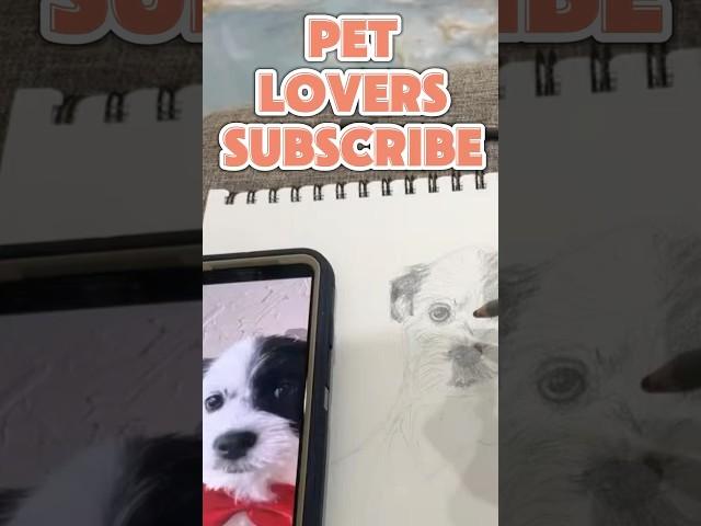 Who Loves Pets & Art? Comment & Remix This Sound To Show Support & Tag Us️#shorts#pets#art#support