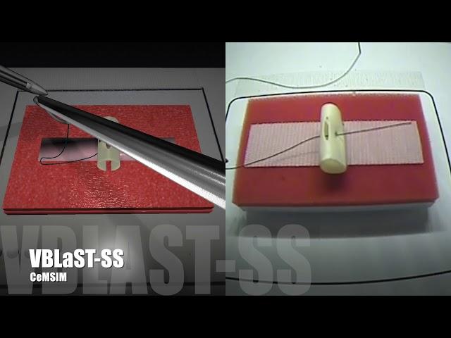 VBLaST Suturing Simulator Demo