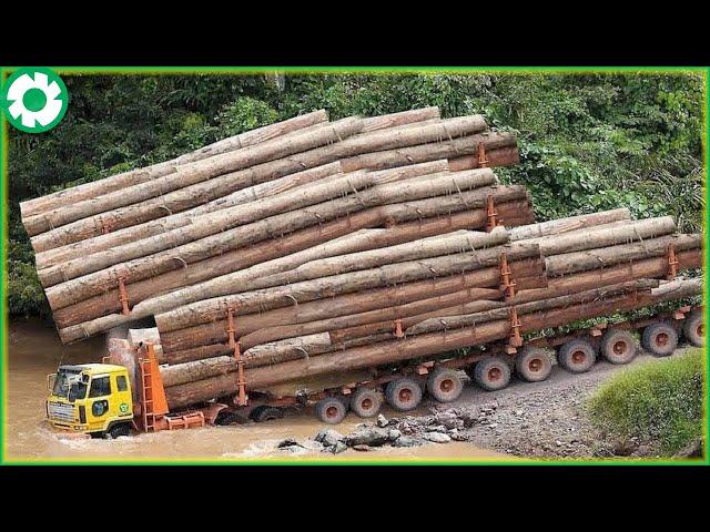 Biggest Logging Truck & Wood Lathe Working | Fastest Big Chainsaw Cutting Tree Machines