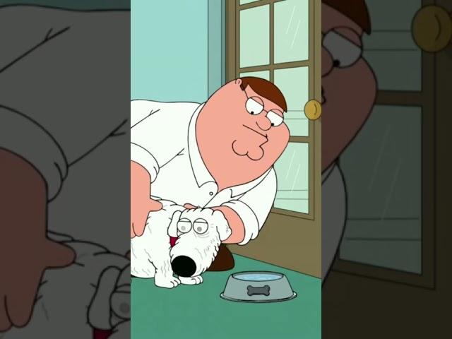 [Family Guy] Old Brian #comedy #familyguy #petergriffin #briangriffin #funny