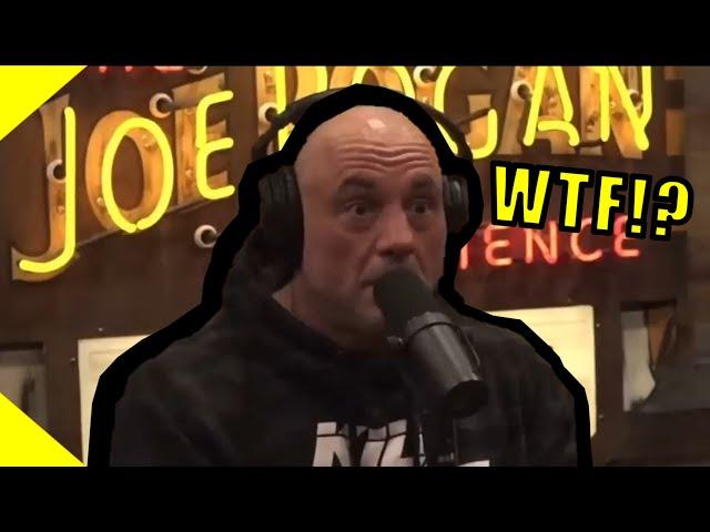 Joe Rogan learns the truth about Egypt FT. Sonny