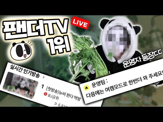 팬더tv 1등찍고 운영자에게 러브콜 받았습니다