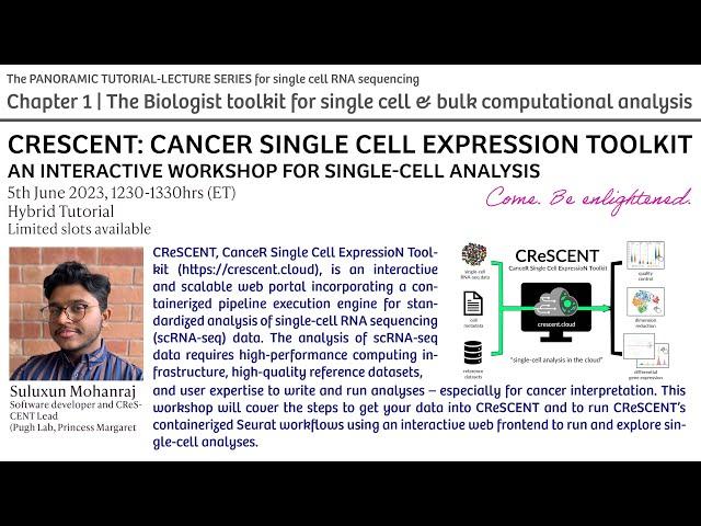 CRESCENT: CANCER SINGLE CELL EXPRESSION TOOLKIT - AN INTERACTIVE WORKSHOP FOR SINGLE-CELL ANALYSIS