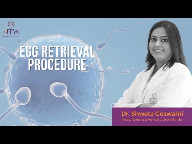 Egg Retrieval Procedure | Zeeva Fertility IVF Clinic | Latest Video 2023