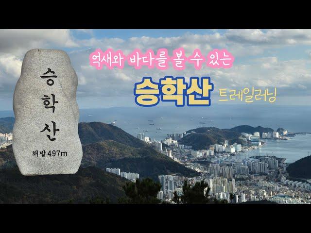 RUN TRIP 승학산 트레일 러닝 / 억새와 바다 /삼나무 숲길 / 부산 도심 속의 산