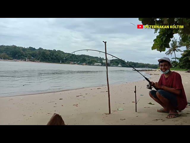 STRIKE IKAN LANGKA DITELUK KOTA KENDARI  ENDINGNYA BIKIN NGESELIN