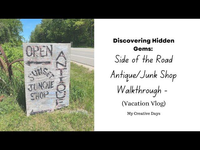 Discovering Hidden Gems: Side of the Road Antique Shop Walkthrough | Vacation Vlog