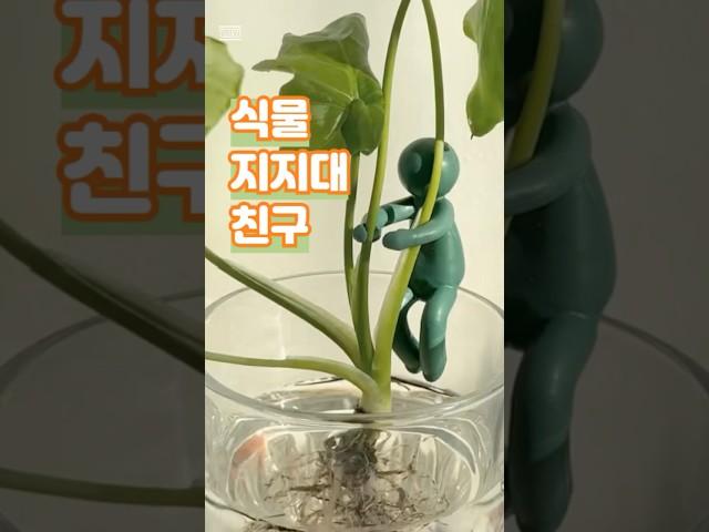 귀여운 식물 지지대 친구 #꿀템 #꿀템추천 #인테리어 (쿠팡파트너스 포함)