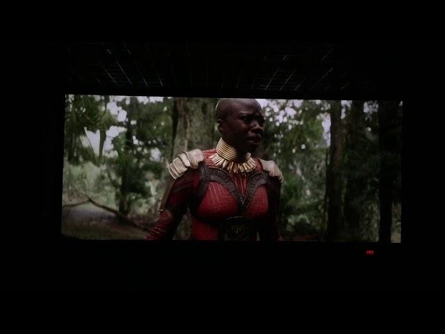 Avengers Infinity War Last Scene ..Where it all goes down !!