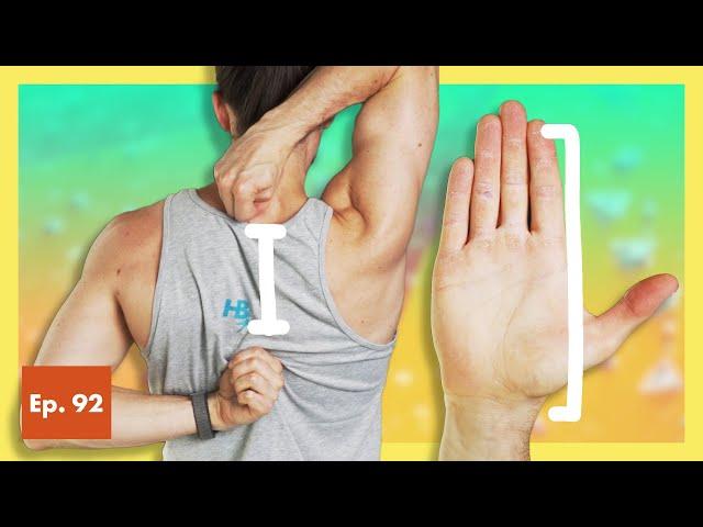 Essential Shoulder Mobility Tests for All Climbers