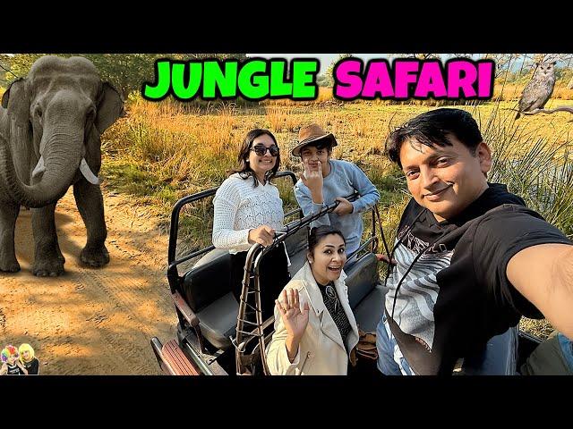 JUNGLE SAFARI | Family Travel Vlog to Jim Corbett | Aayu and Pihu Show