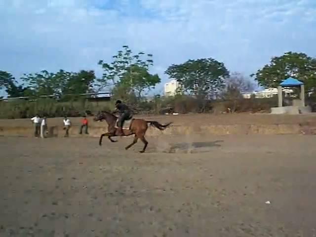 Tent Pegging on Flying Queen