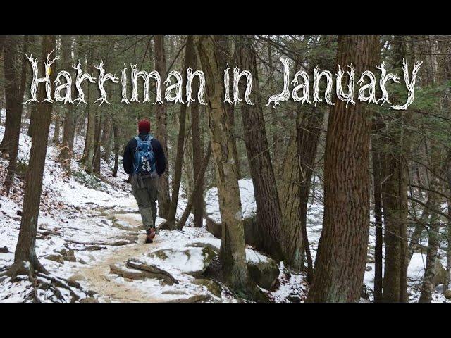 Unboring Exploring: A January Stroll in Harriman State Park