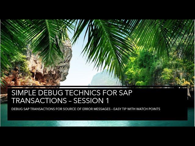 ABAP Debug Tips| ABAP Debug for Source Error Messages of SAP Transactions | Watch Points in ABAP