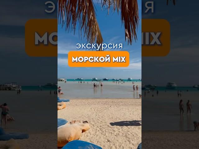 Экскурсия «Морской Mix» от Библио Глобус. #библиоглобус #египет #travel #отпуск2025 #хургада #egypt