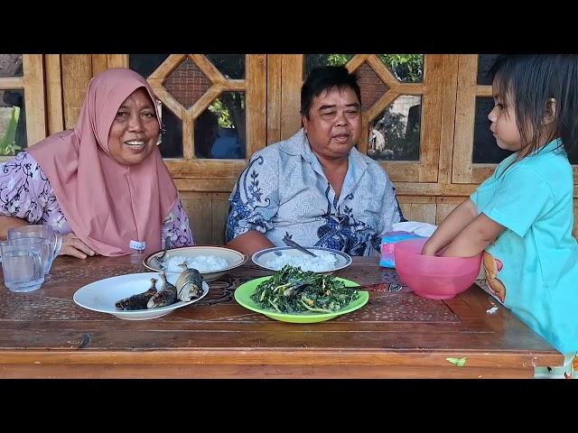 masakan emak bikin bumil ngiler sayur daun pepaya