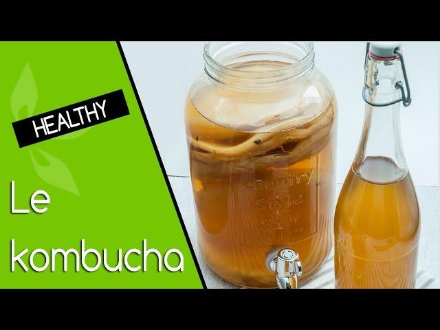 Kombucha bienfaits, préparation et stockage 