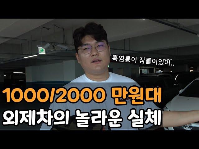 흑염룡이 잠들어 있는 차