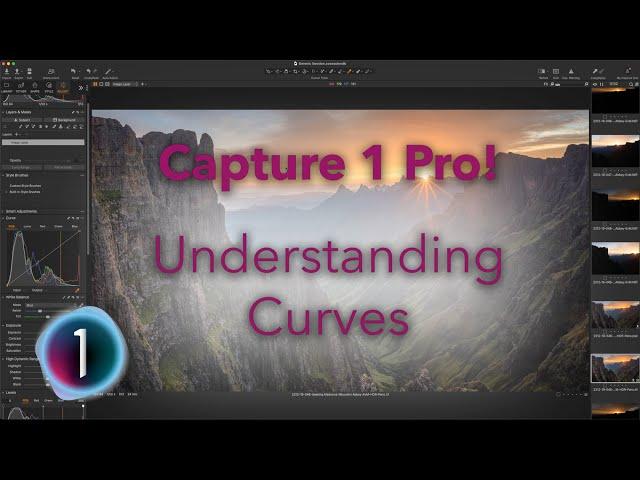 Capture One Pro - Understanding Curves