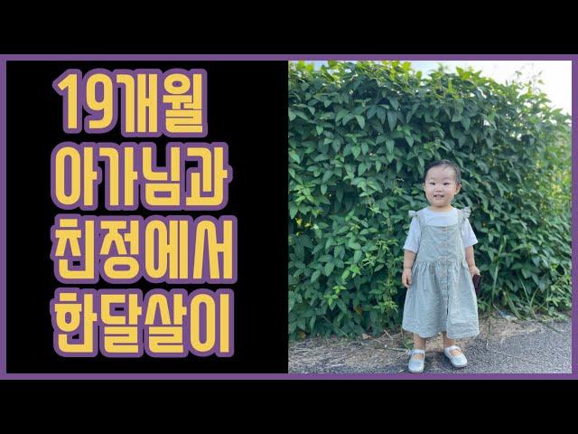 [vlog] 초보엄마의 하루 - 19개월 아기 | 친정찬스 | 청약당첨 | 흥넘치는 아기