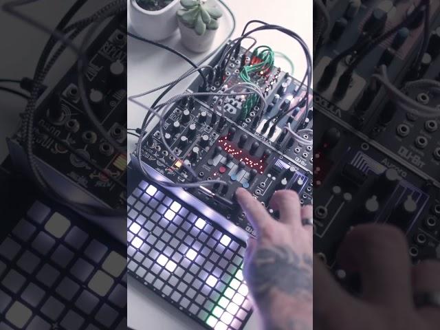 Modular synth jam by @ooramusic #shorts #synth