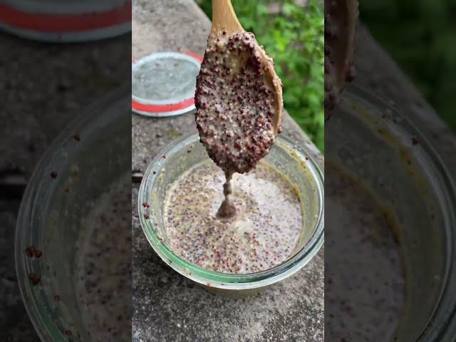 How we make whole grain mustard from foraged wild plants! #foraging #offgridliving