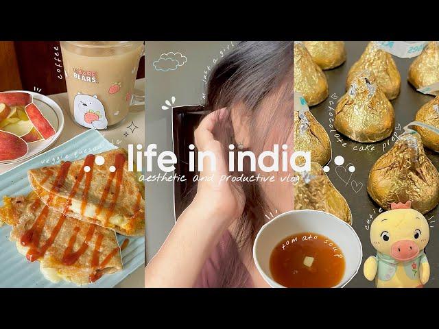 Productive day in life | Aesthetic vlog indian | life of introvert girl | cooking, unboxing, study