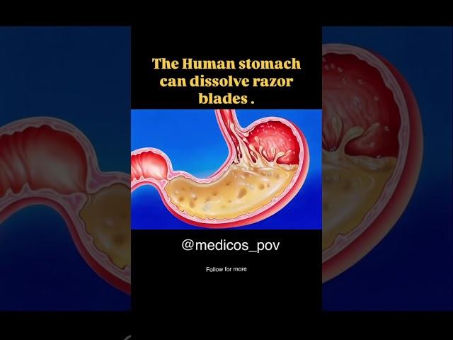 Do you know ? #mbbsstudent #medical #human #humanbody #stomach