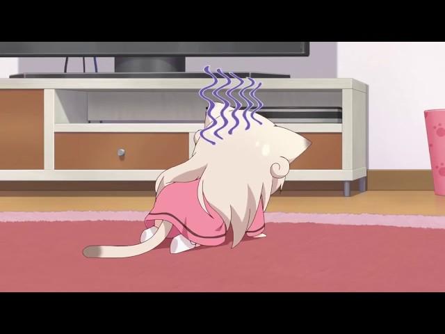Kawaii Cute Moment | Funny Cute Moments | Nyanko Days