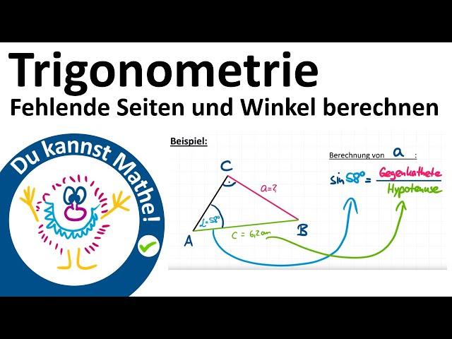 Fehlende Seiten und Winkel im rechtwinkligen Dreieck berechnen, Trigonometrie #6, Sinus, Kosinus