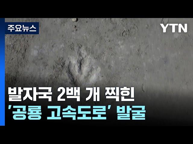 발자국 2백 개 찍힌 '공룡 고속도로' 발굴 / YTN