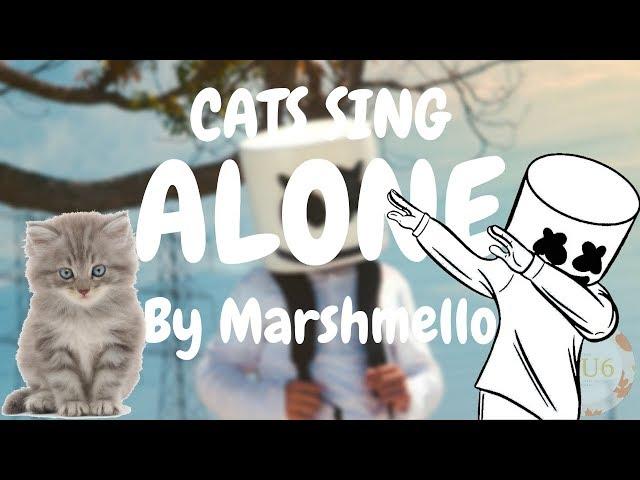 Cats Sing Alone by Marshmello | Cats Singing Song