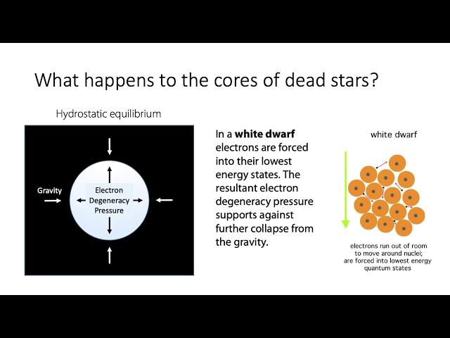 What is degeneracy pressure in white dwarf and neutron stars?