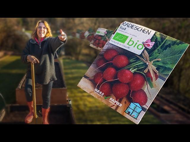 February gardening: What to do now 