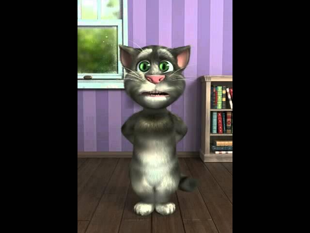 Talking Tom 2