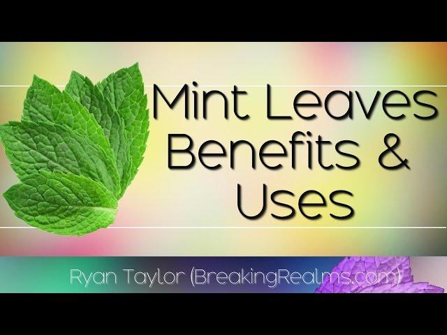 Mint Leaves: Health Benefits and Uses