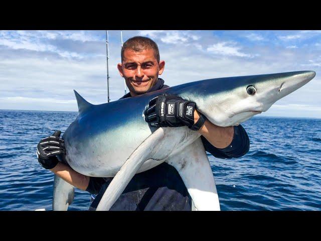 Shark Fishing - Sea Fishing UK - HUGE SHARKS | The Fish Locker