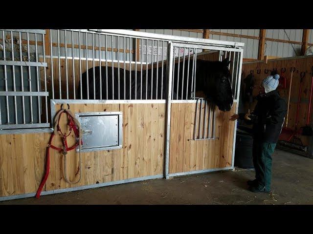 Doing Farm Family Animal Chores