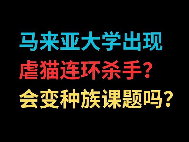 马来亚大学出现虐猫连环杀手？会变种族课题吗？