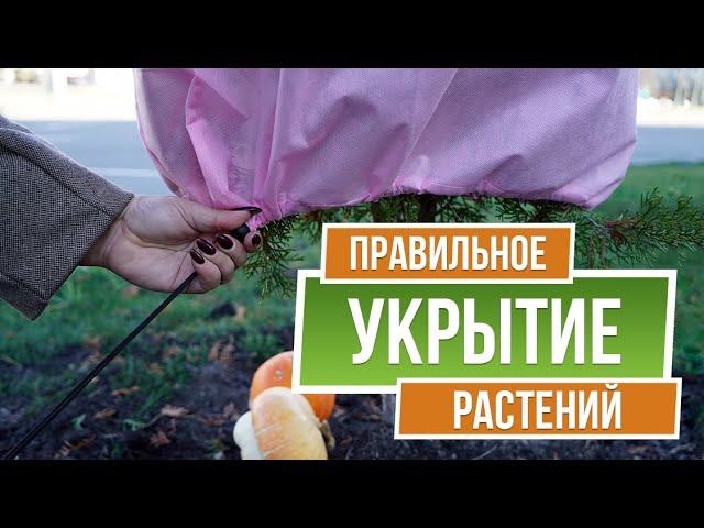 Основные ОШИБКИ При Укрытии Растений на Зиму ️ Советы от Garden-zoo сад