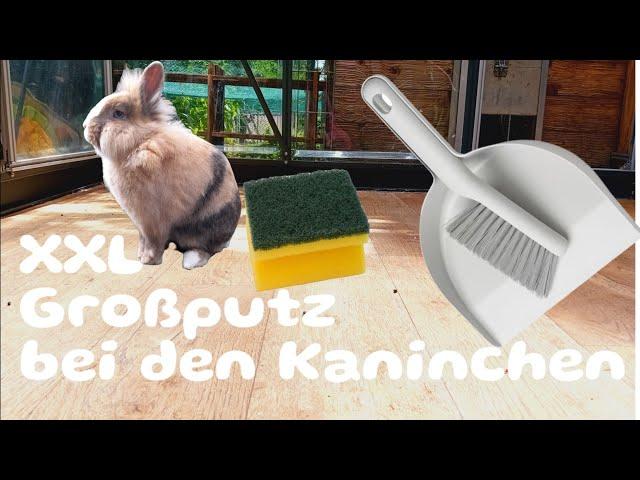 XXL Großputz bei den Kaninchen 