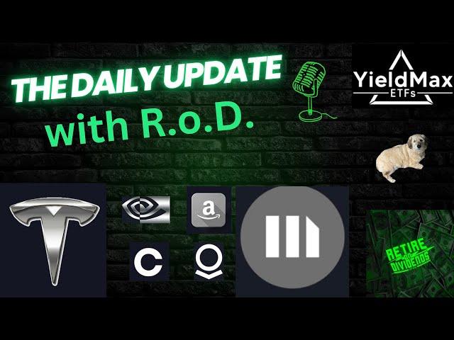 YieldMax ETFs TSLY, NVDY, MSTY, CONY, AMZY, & PLTY Holdings Review 3/18/25 #tsly #plty  #msty #cony