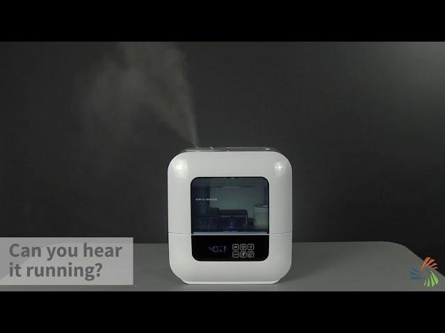 Air-O-Swiss U700 Warm & Cool Mist Humidifier | Sylvane