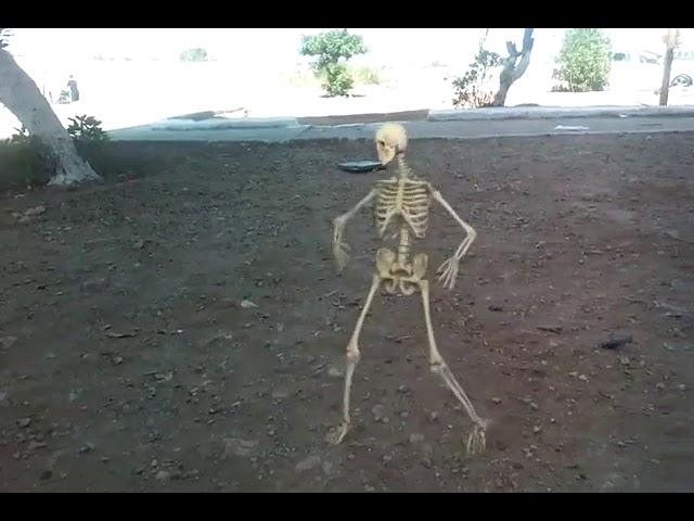 Skeleton's dancing