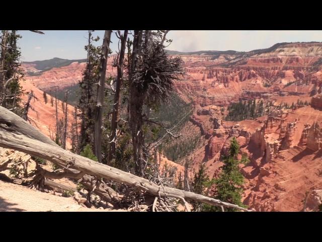 Exploring Cedar Breaks National Monument