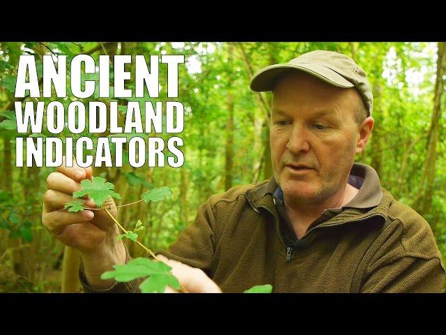 Ancient Woodland Indicators