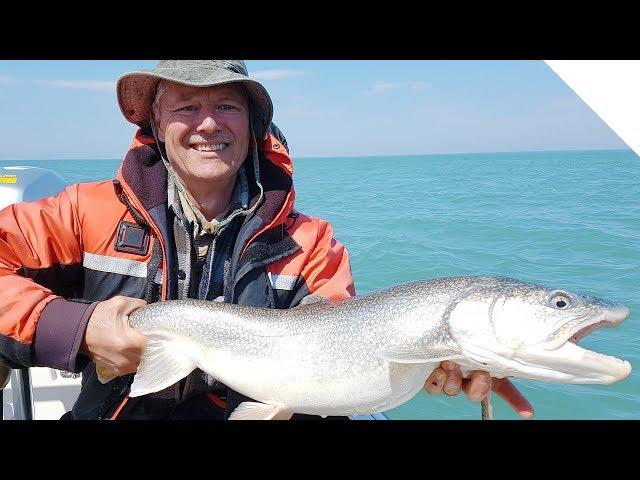 Flat-Line Trolling for Lake Trout (with trolling tips)