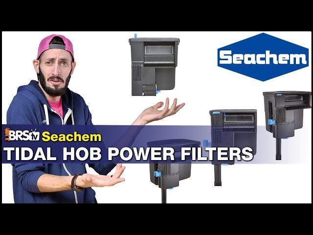 Can You Put a HOB Filter on a Reef Tank? With the Seachem Tidal HOB Power Filters You Can!