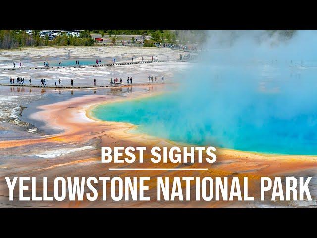 GRIZZLY BEARS, Geysers, Hot Springs, and Wildlife! | Yellowstone National Park Cinematic Video