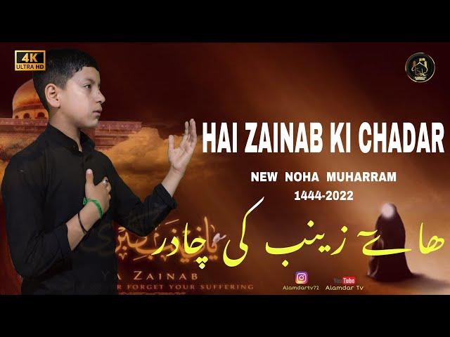 Hai Zainab Ki Chadar || Irfan Ali